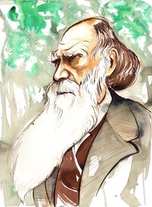 Charles Darwin (engelsk naturforsker og forfatter, 1809-82) portrett